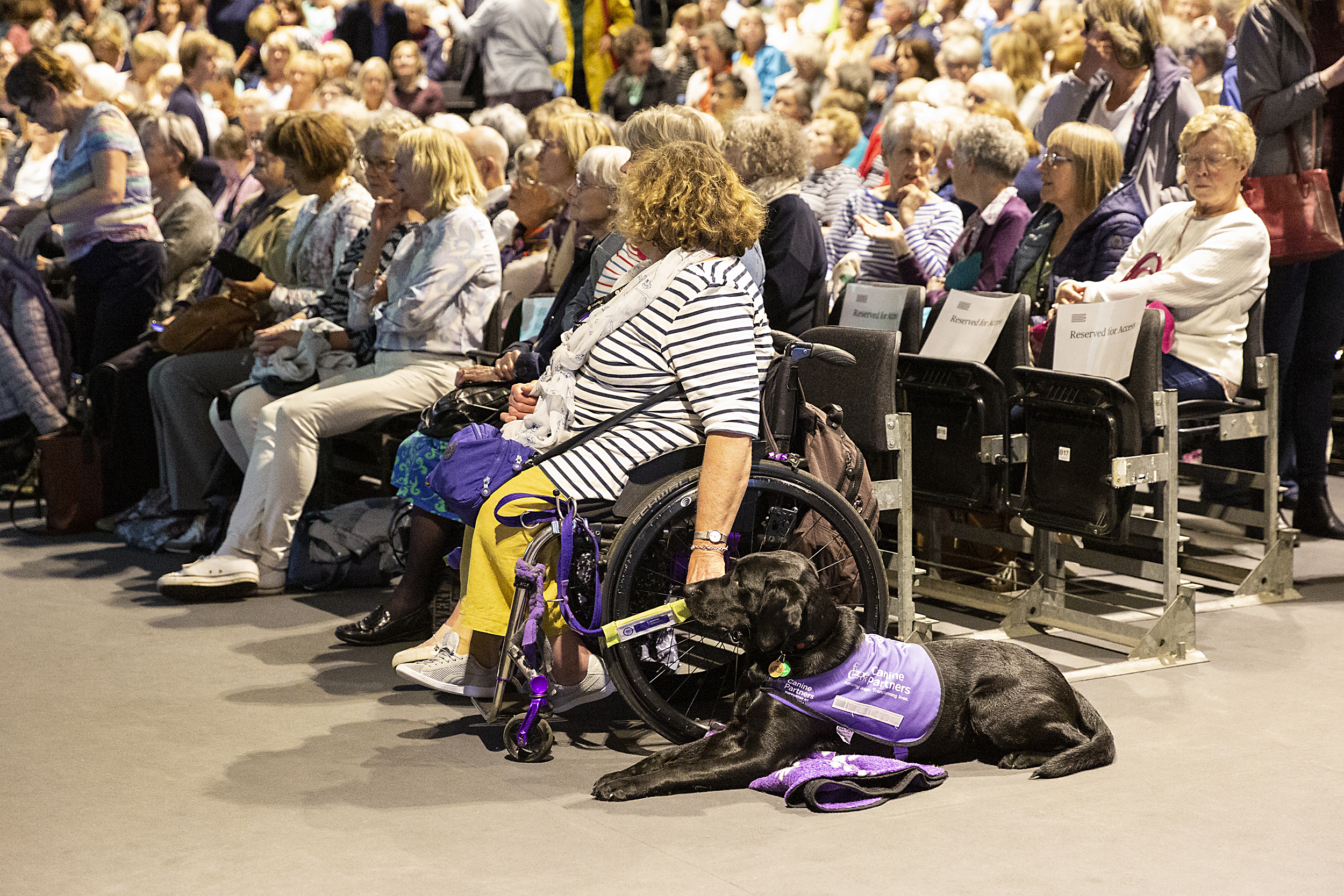 A wheelchair user with an assistance dog sitting in the audience at the Book Festival